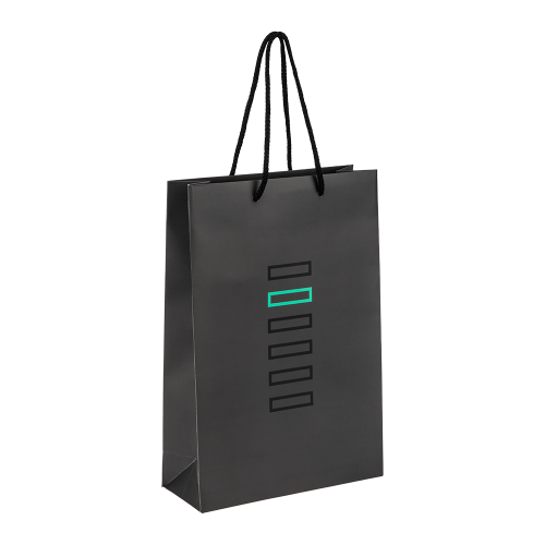 A4 Gift Bags (Pack Of 10)